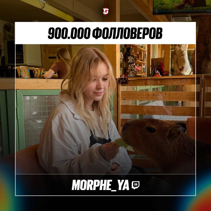 MorpheYa в день достижения 900 тысяч фолловеров на Twitch